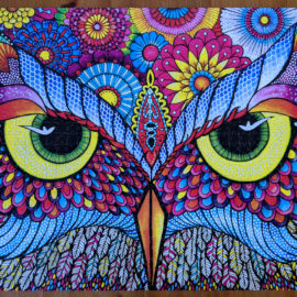 Challenging jigsaw puzzle, Owl Eyes 1000 pieces