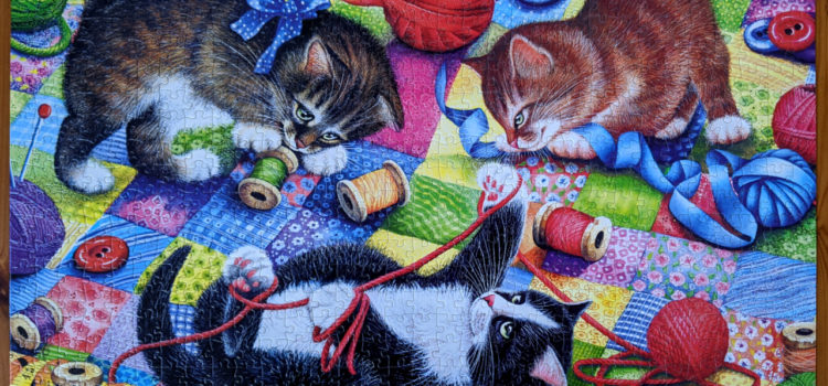 Knitting Kittens playing with yarns on quilt